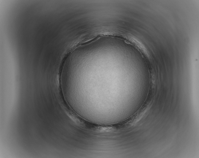X0000111510401200907211208