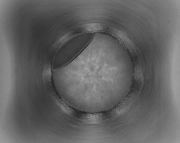 X0000111510405200907211208