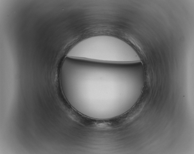 X0000111510407200907211208