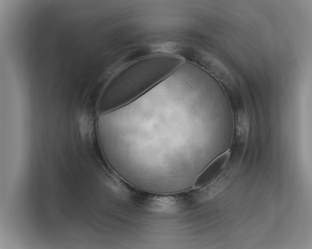 X0000111510409200907211208