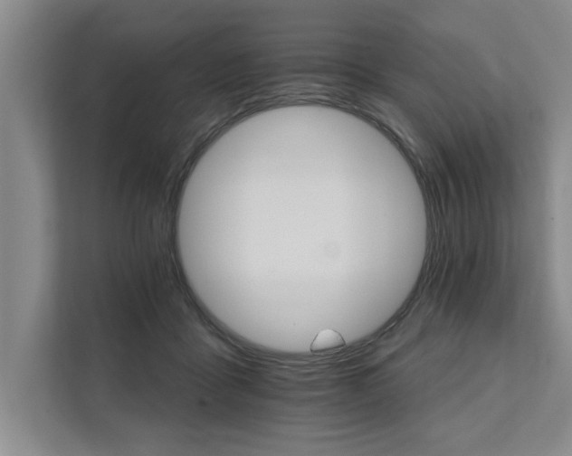 X0000111510411200907211208