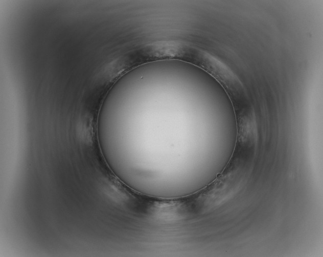 X0000111510414200907211207
