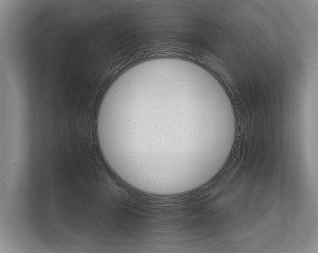 X0000111510415200907211207