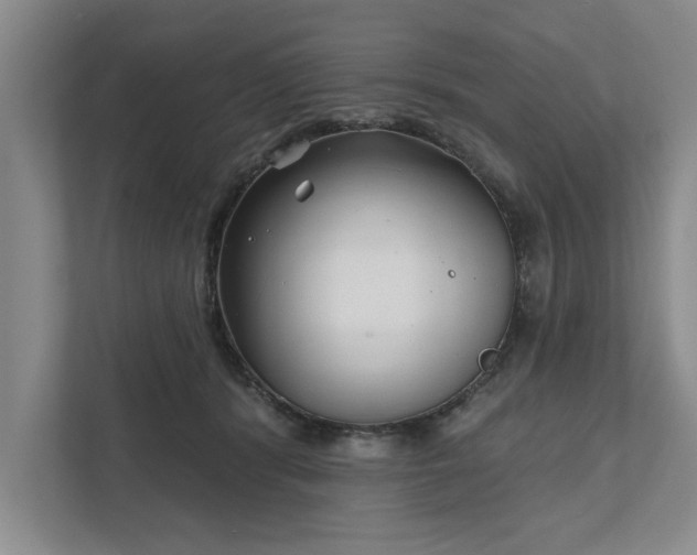 X0000111510416200907211207