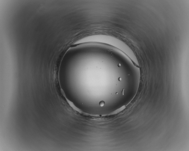 X0000111510417200907211207