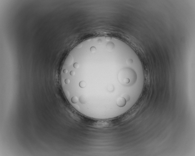 X0000111510418200907211207