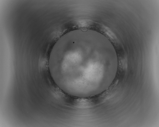 X0000111510419200907211207