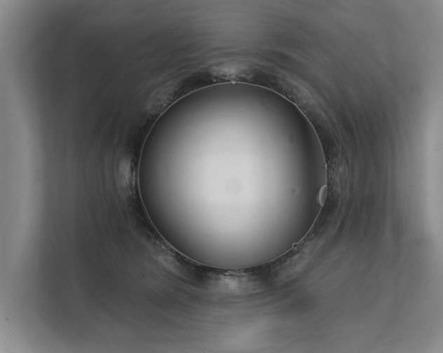 X0000111510420200907211207