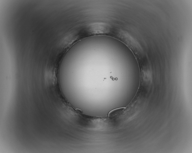 X0000111510422200907211207