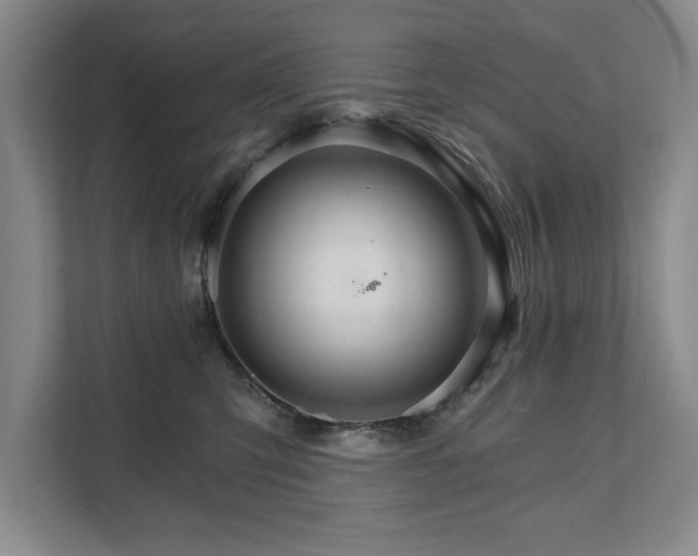 X0000111510423200907211207