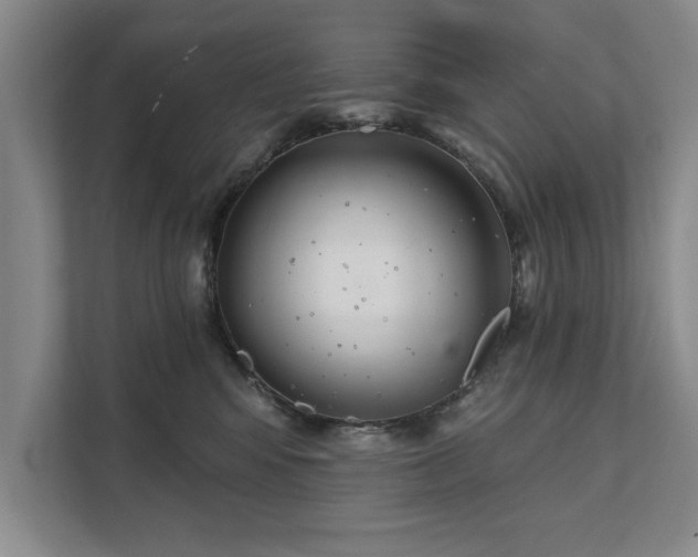 X0000111510424200907211207