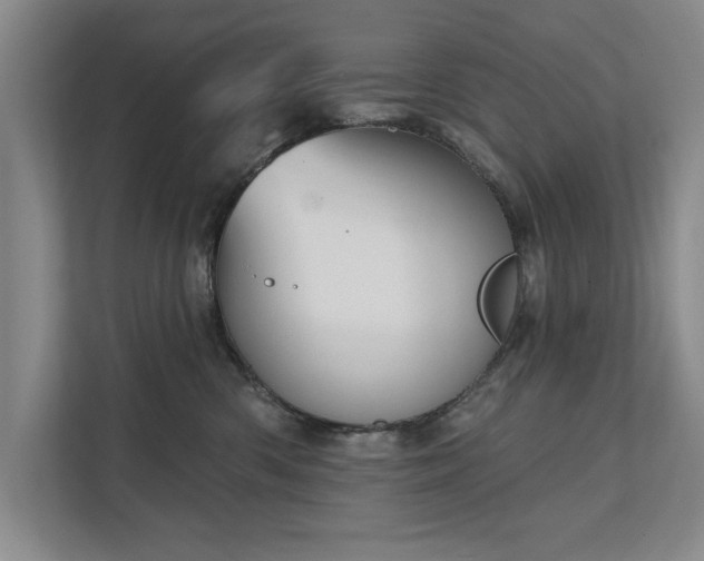 X0000111510426200907211207