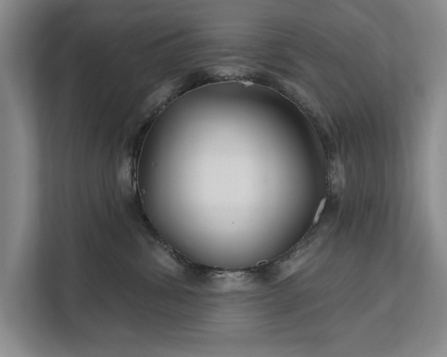 X0000111510428200907211207