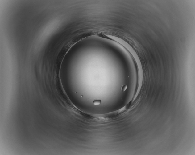 X0000111510429200907211207