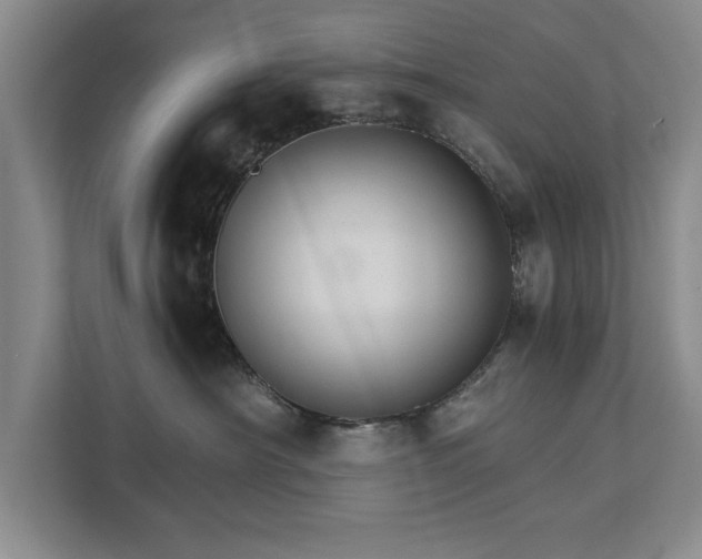 X0000111510430200907211207
