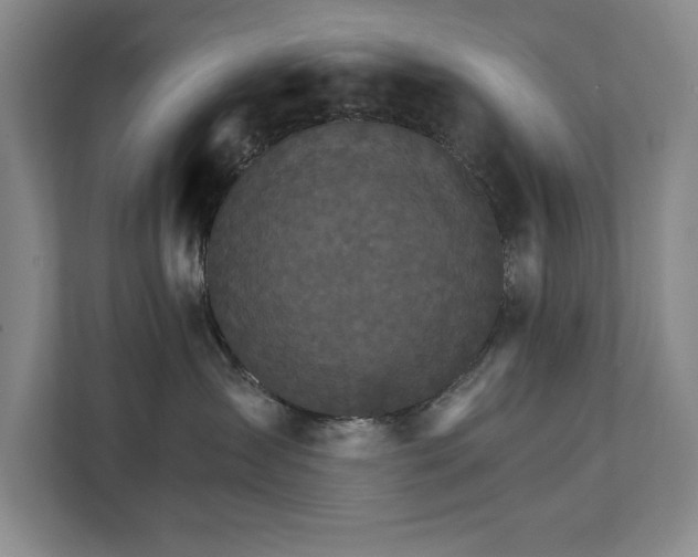 X0000111510431200907211207