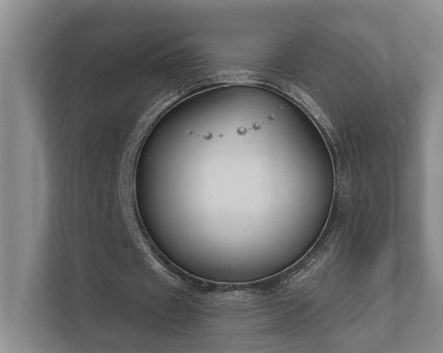 X0000111510433200907211207