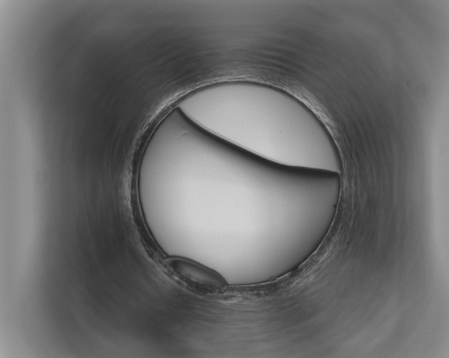 X0000111510434200907211207