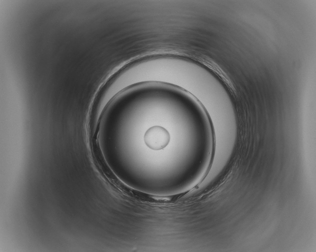 X0000111510436200907211207