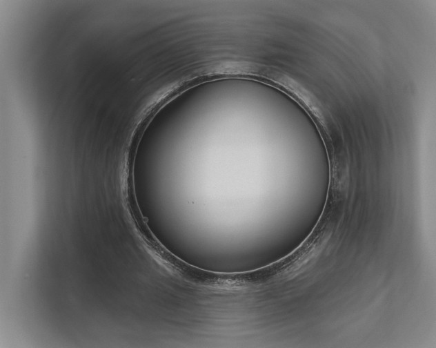 X0000111510437200907211207