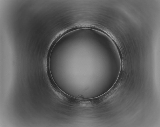 X0000111510438200907211207