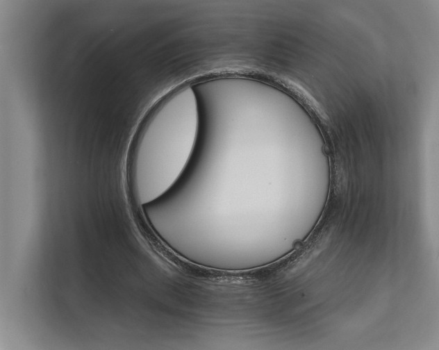 X0000111510439200907211207