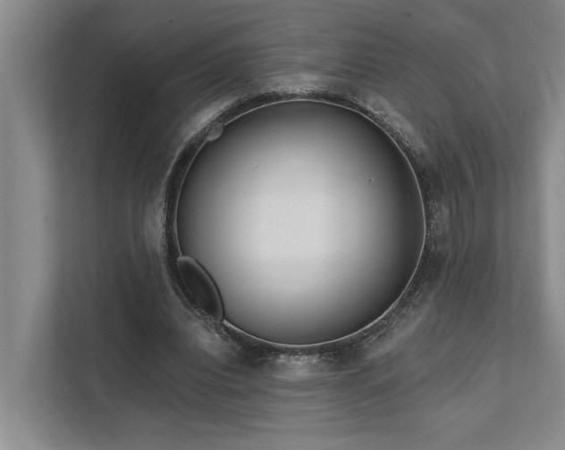 X0000111510440200907211207