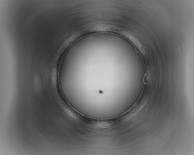 X0000111510445200907211207