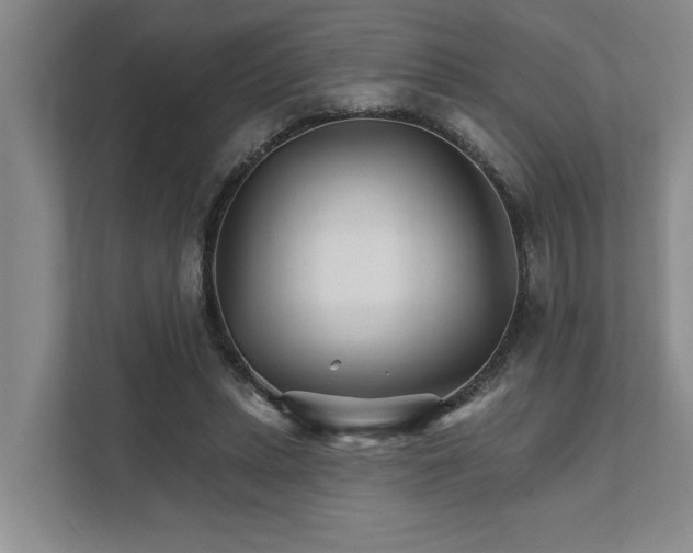X0000111510447200907211207