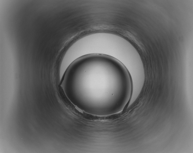 X0000111510448200907211207