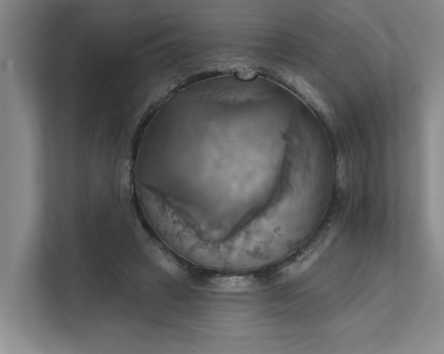 X0000111510449200907211207