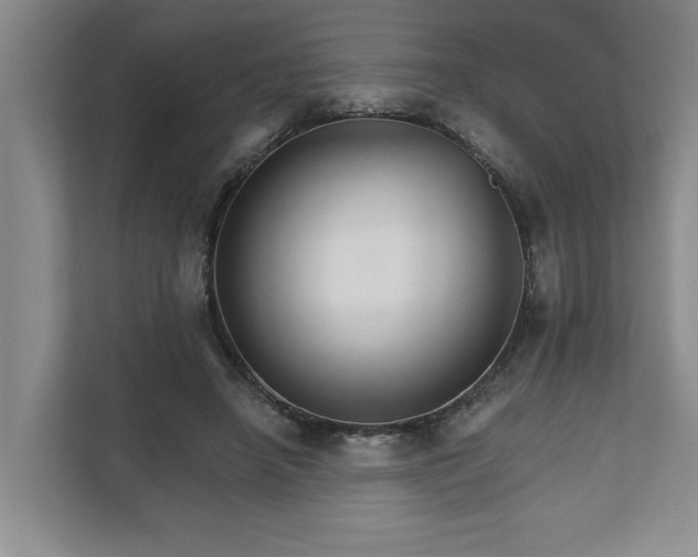 X0000111510450200907211207