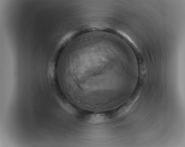 X0000111510451200907211207