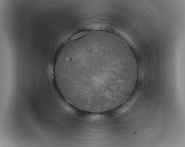 X0000111510453200907211207