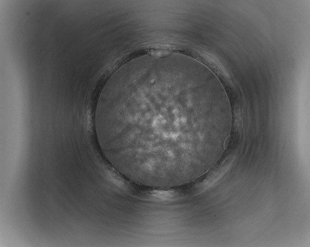 X0000111510457200907211207