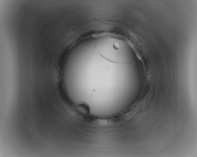 X0000111510464200907211207