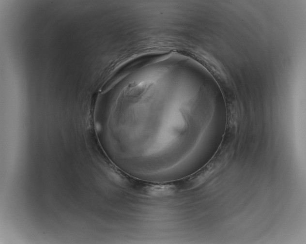 X0000111510465200907211207