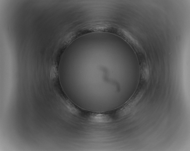 X0000111510467200907211207
