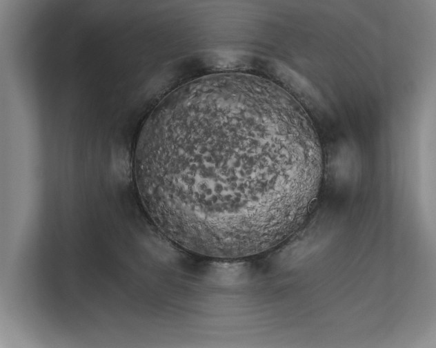 X0000111510469200907211207