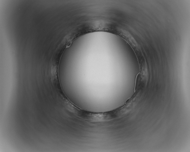 X0000111510473200907211207