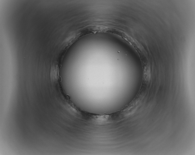 X0000111510474200907211207