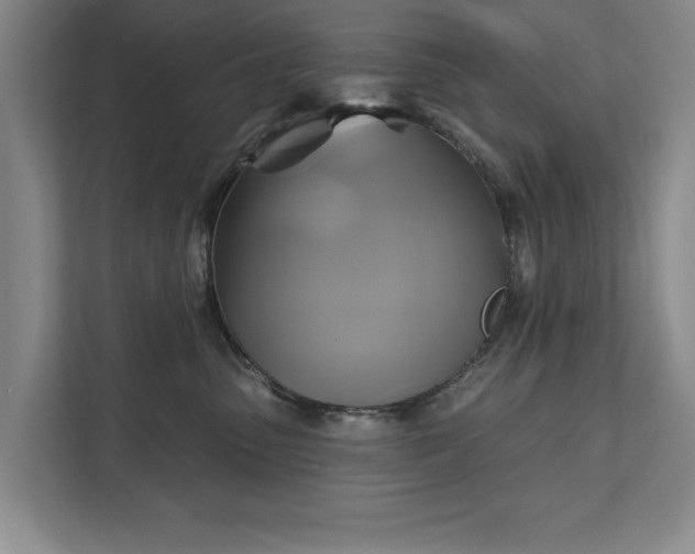 X0000111510475200907211207