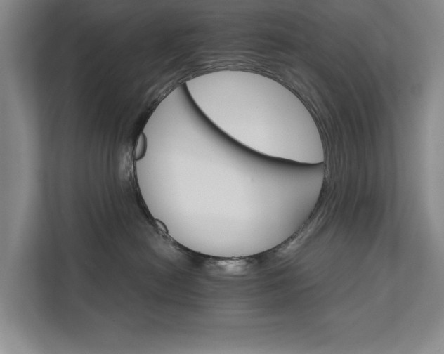 X0000111510478200907211207