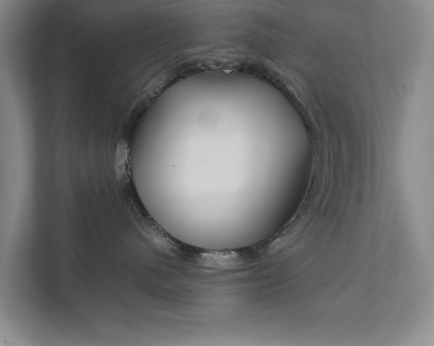 X0000111510480200907211207