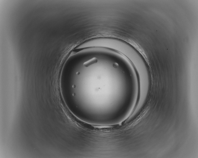 X0000111510481200907211207
