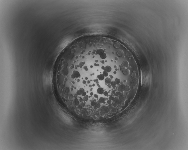 X0000111510483200907211207