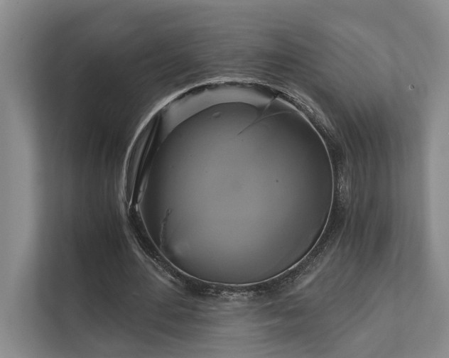 X0000111510484200907211207
