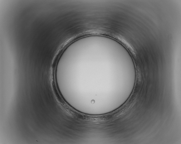 X0000111510486200907211207