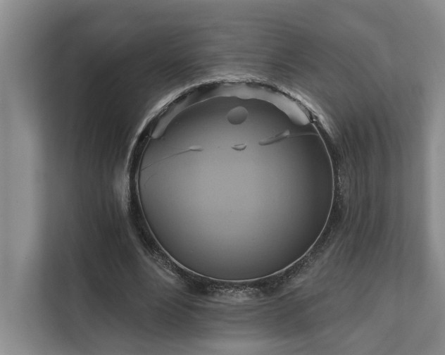 X0000111510488200907211207