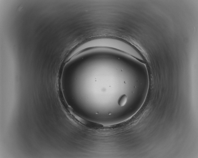 X0000111510489200907211206